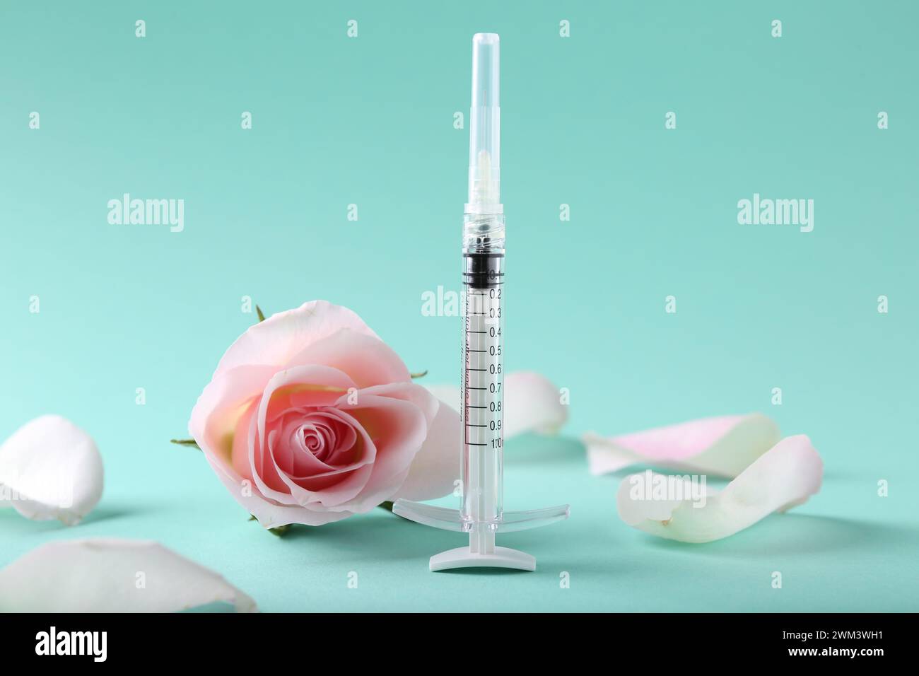 Cosmétologie. Seringue médicale, fleur de rose et pétales sur fond turquoise Banque D'Images