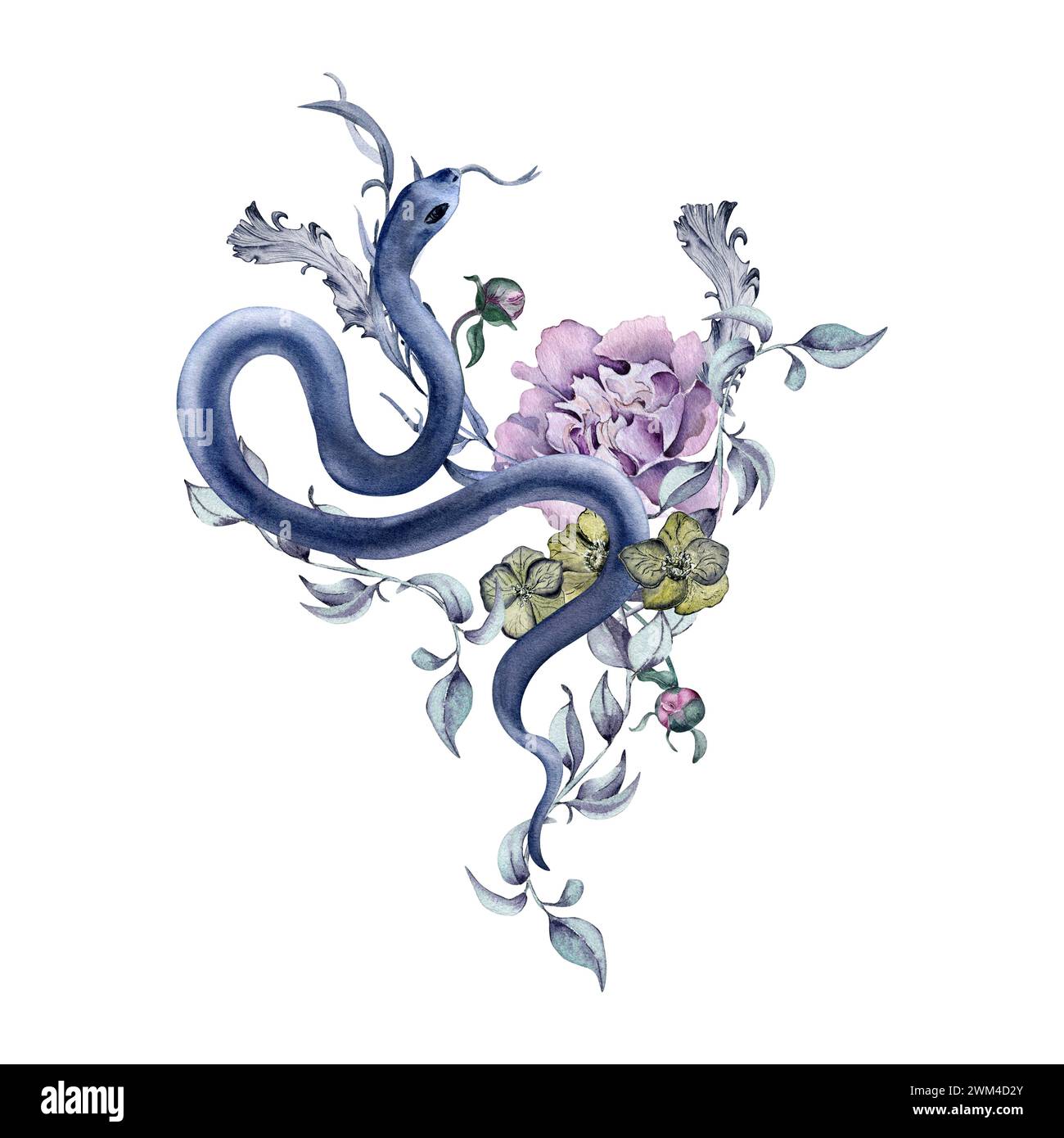 Illustration botanique florale gothique avec serpent et fleurs dessinées à la main. Pivoine rose aquarelle et hellebore isolés sur blanc. Décoration florale pour b Banque D'Images