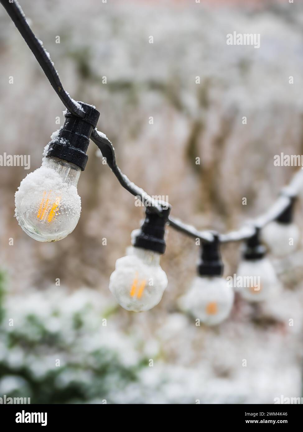 Une série d'ampoules brillantes pend à l'extérieur sur un fond flou de neige blanche à Gothenburg, en Suède. Des aperçus de neige s'accrochent aux bulbes Banque D'Images