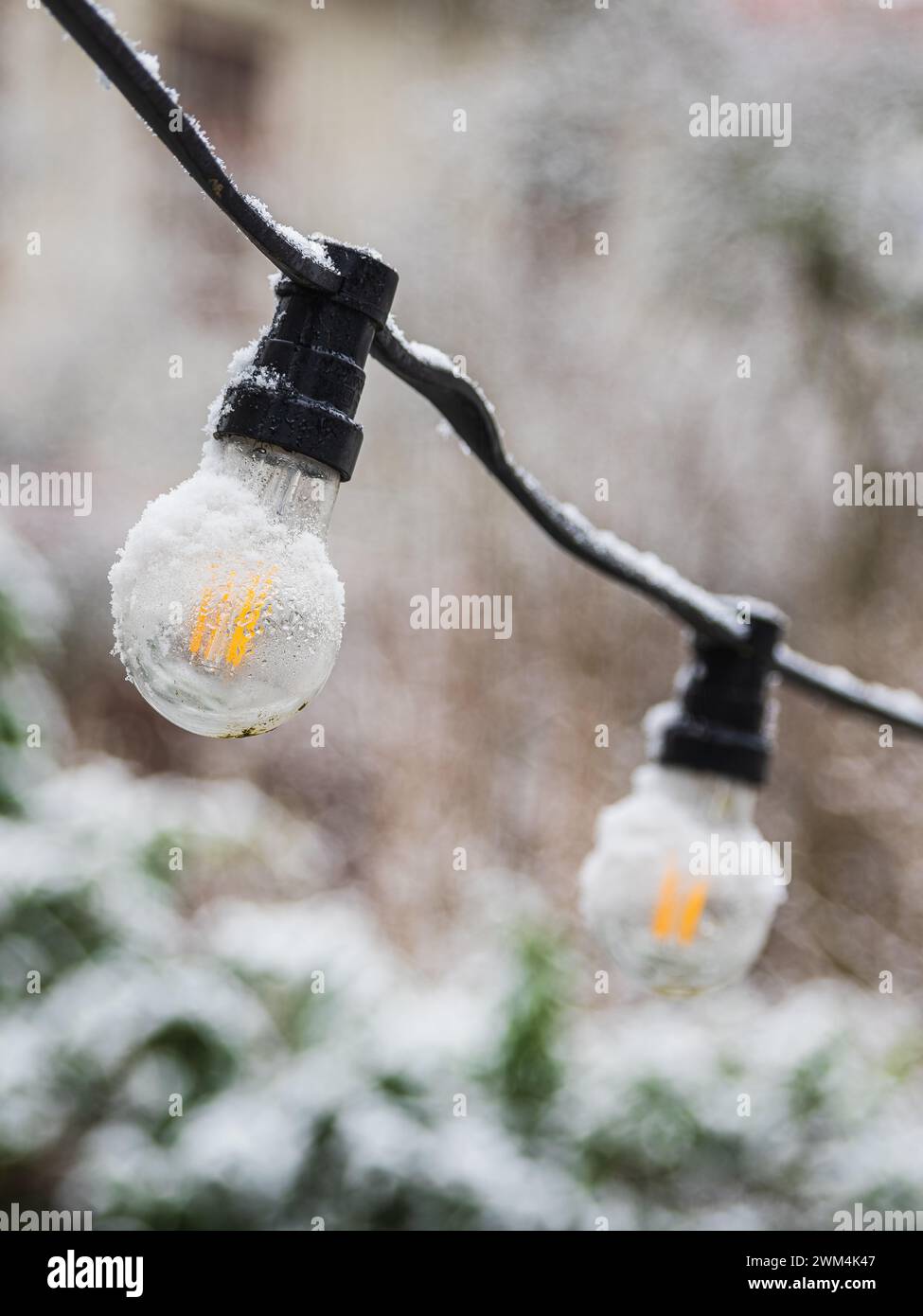 Une série d'ampoules brillantes pend à l'extérieur sur un fond flou de neige blanche à Gothenburg, en Suède. Des aperçus de neige s'accrochent aux bulbes Banque D'Images