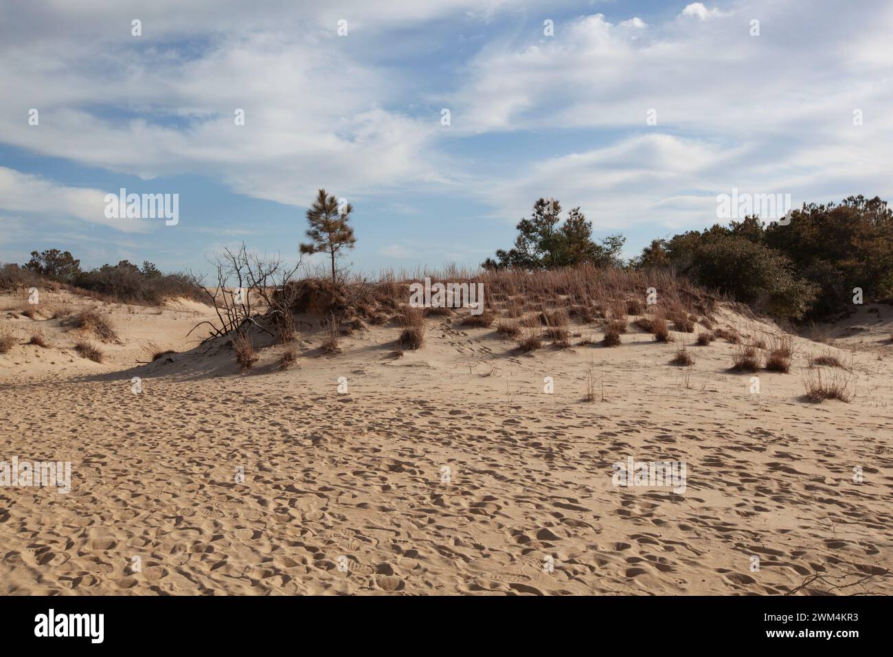 Une vue panoramique sur les dunes de sable au parc national de Jockey's Ridge dans les Outer Banks en Caroline du Nord. Banque D'Images