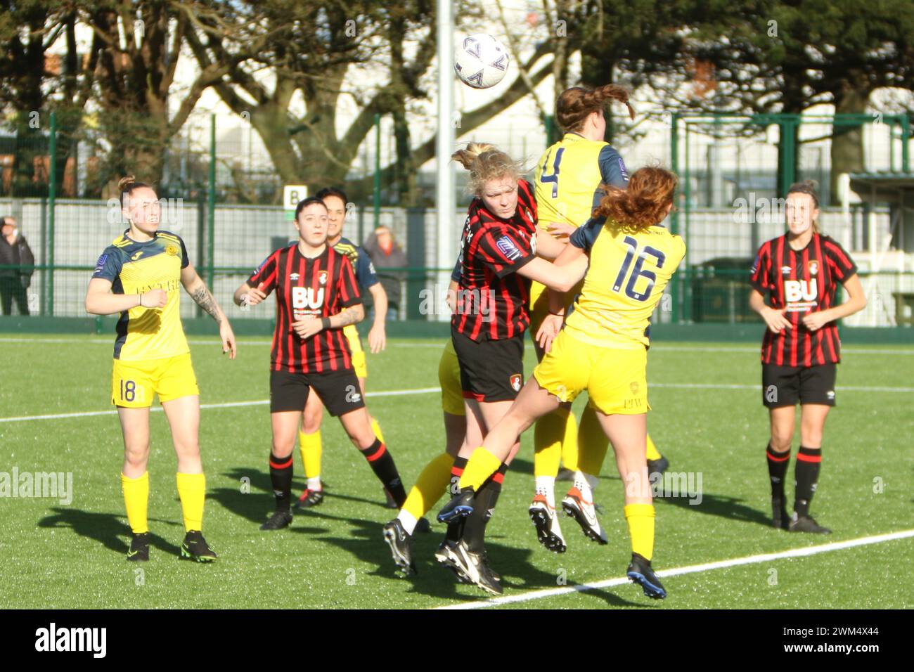 Moneyfields FC Women contre AFC Bournemouth Women à Oaklands Park, Chichester City FC 18 février 2024 Banque D'Images