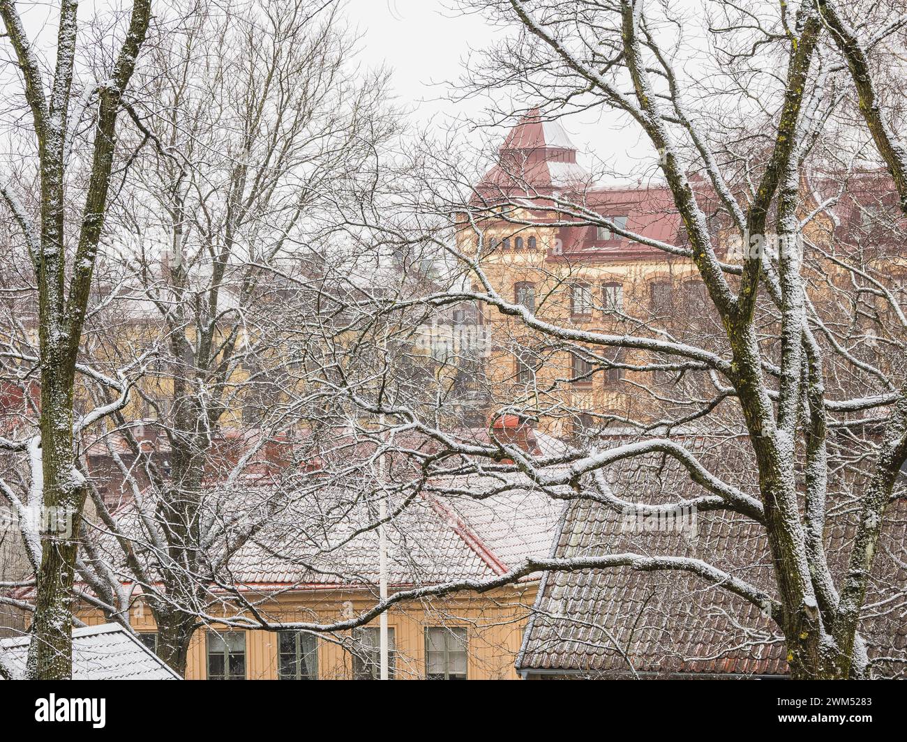 Une scène hivernale sereine à Gothenburg, où la neige tombe doucement sur les branches nues des arbres, couvrant les toits des bâtiments traditionnels suédois. L'AT Banque D'Images