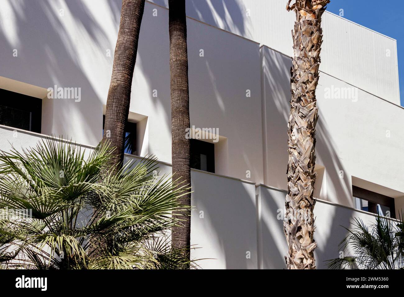 Mur extérieur blanc du bâtiment du musée Picasso à Malaga, Espagne Banque D'Images