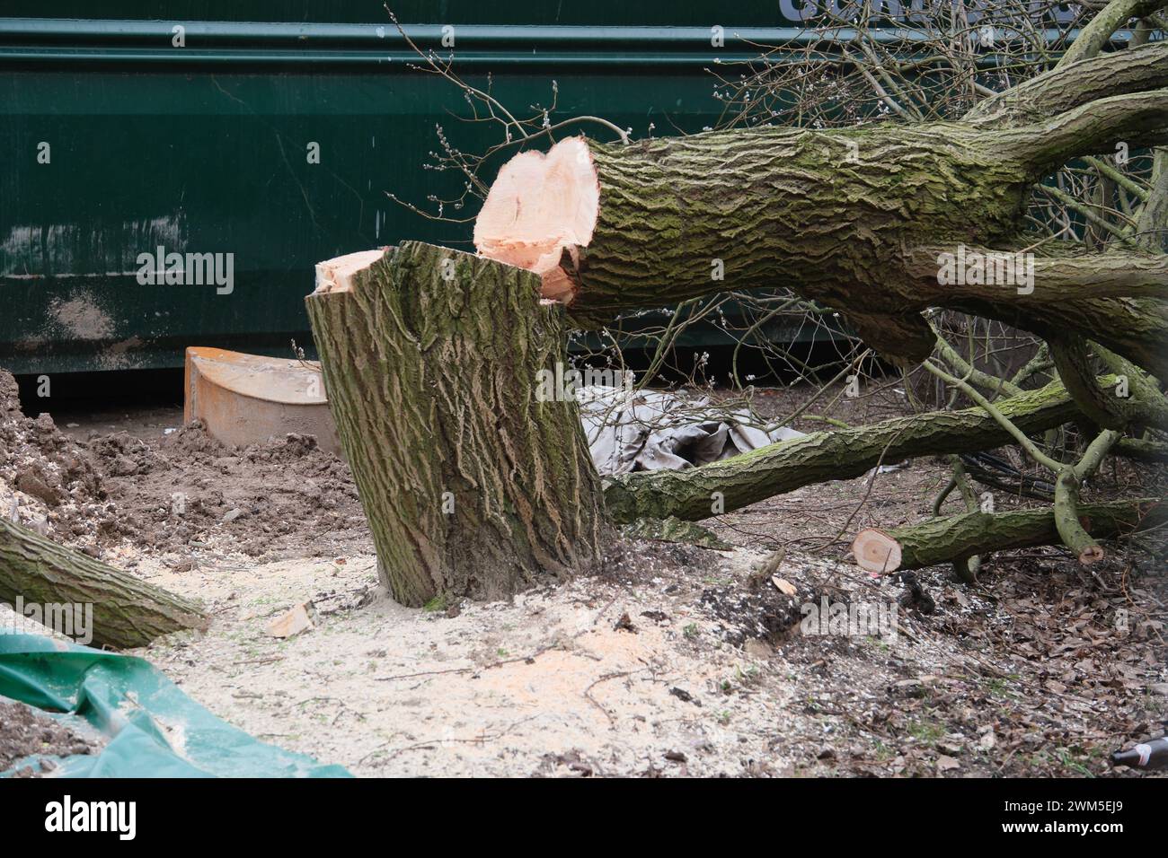 Leipzig, 24.02.2024 Sternbrücke - heute gab es erste Baumfällungen an der sogenannten Brammerfläche an der Max-Brauer-Allee zwischen Schulterblatt, Lippmannstraße und dem Bahndamm. Protest und Polizeieinsatz. Die Sternbrücke über die Stresemanstraße soll abgerissen werden - und eine neue, überdimensionierte Brücke soll gebaut werden, Monsterbrücke genannt. Dagegen gibt es erheblichen Bürgerprotest. Hamburg Deutschland *** Leipzig, 24 02 2024 Sternbrücke aujourd'hui, les premiers arbres ont été abattus à la Brammerfläche sur Max Brauer Allee entre Schulterblatt, Lippmannstraße et le chemin de fer EM Banque D'Images