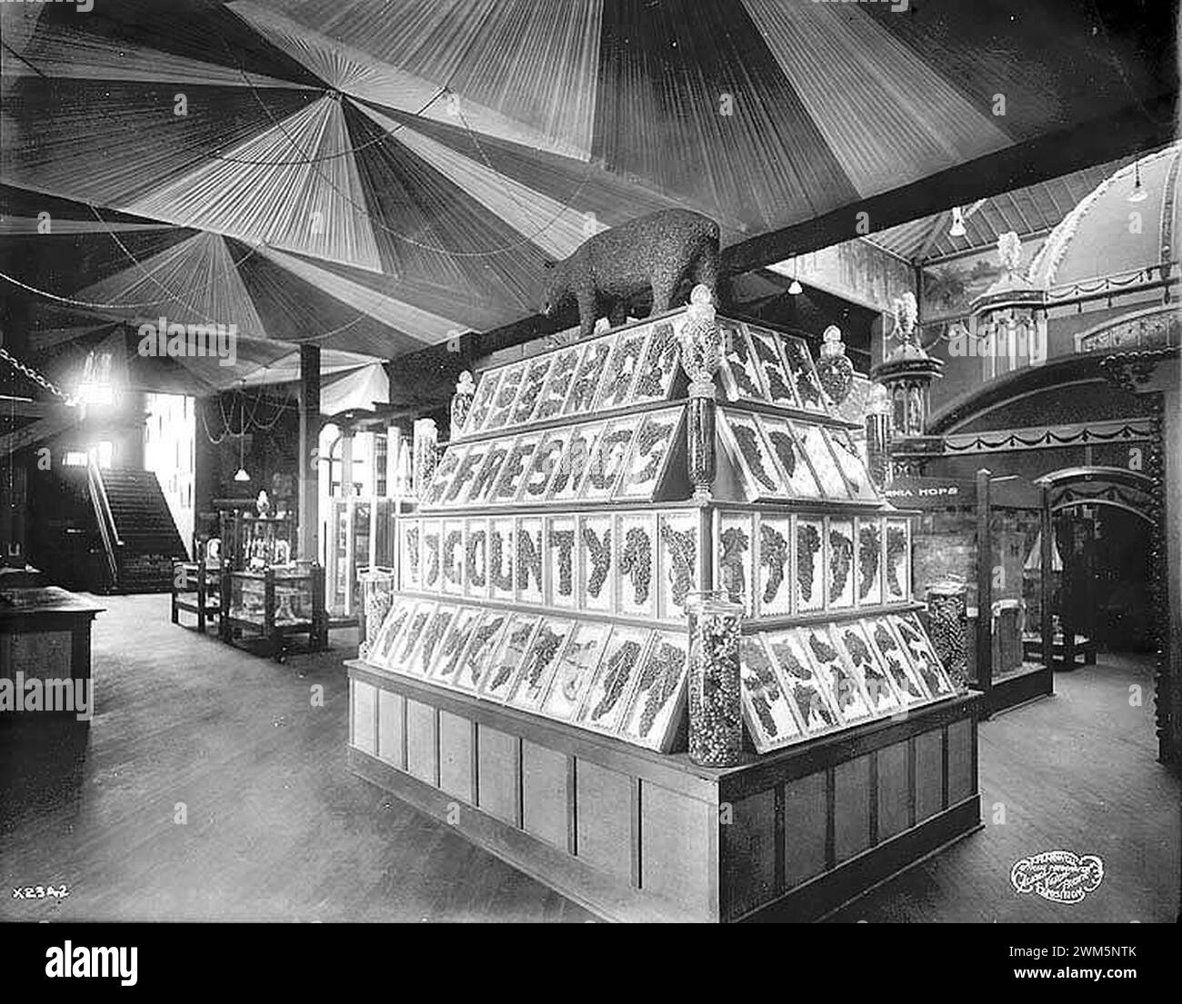 Ours fabriqué à partir de raisins secs à l'exposition du comté de Fresno, California Building, Alaska Yukon Pacific exposition, Seattle, 1909 Banque D'Images