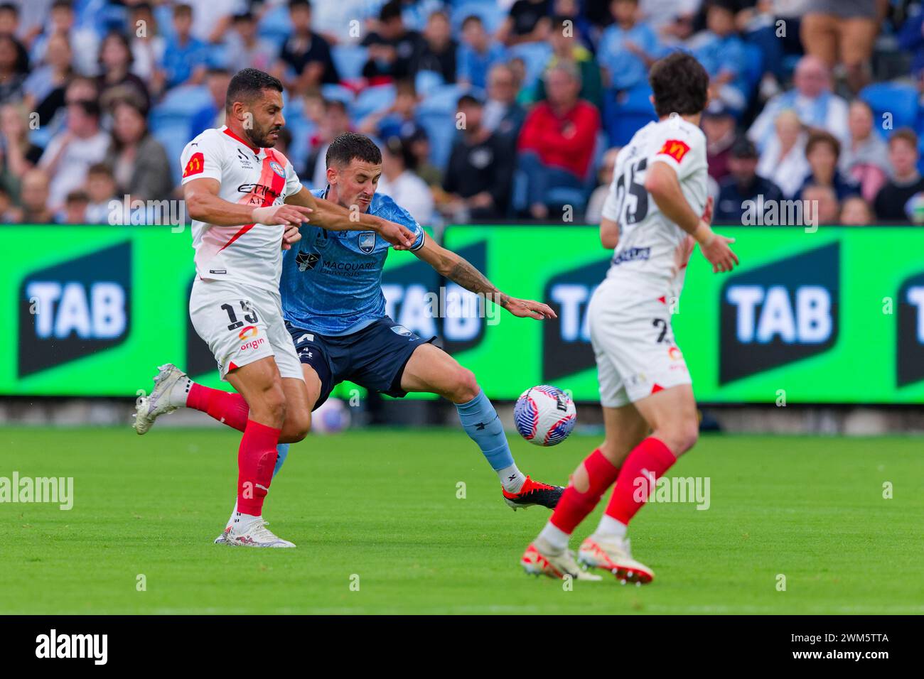 Sydney, Australie. 24 février 2024. Andrew Nabbout de Melbourne concourt pour le ballon avec Jordan Courtney-Perkins de Sydney FC lors du match de A-League entre Sydney FC et Melbourne City au stade Alliance le 24 février 2024 à Sydney, Australie crédit : IOIO IMAGES/Alamy Live News Banque D'Images