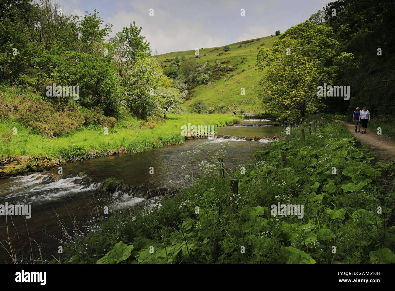 Vue à travers la rivière Dove à Wolfscote Dale, Derbyshire, Peak District National Park, Angleterre, Royaume-Uni Banque D'Images