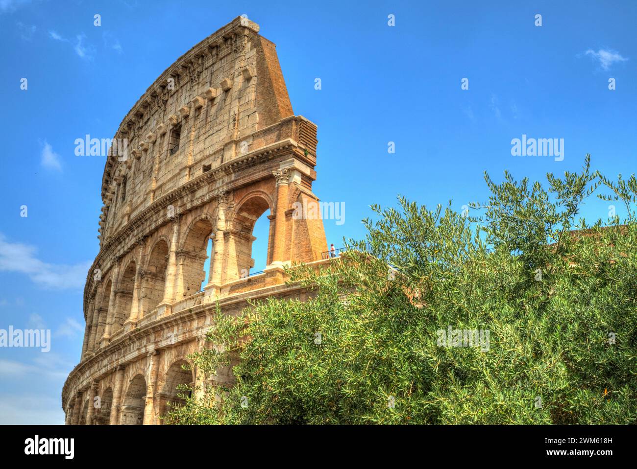 Une magnifique structure romaine sous un ciel bleu clair, entourée d'une végétation luxuriante Banque D'Images