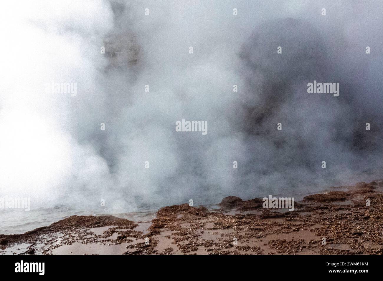 Tatio Geysers, San Pedro de Atacama, Chili. Sources chaudes volcaniques qui produisent de façon spectaculaire l'eau chaude et les fontaines de vapeur à partir du sol. Banque D'Images