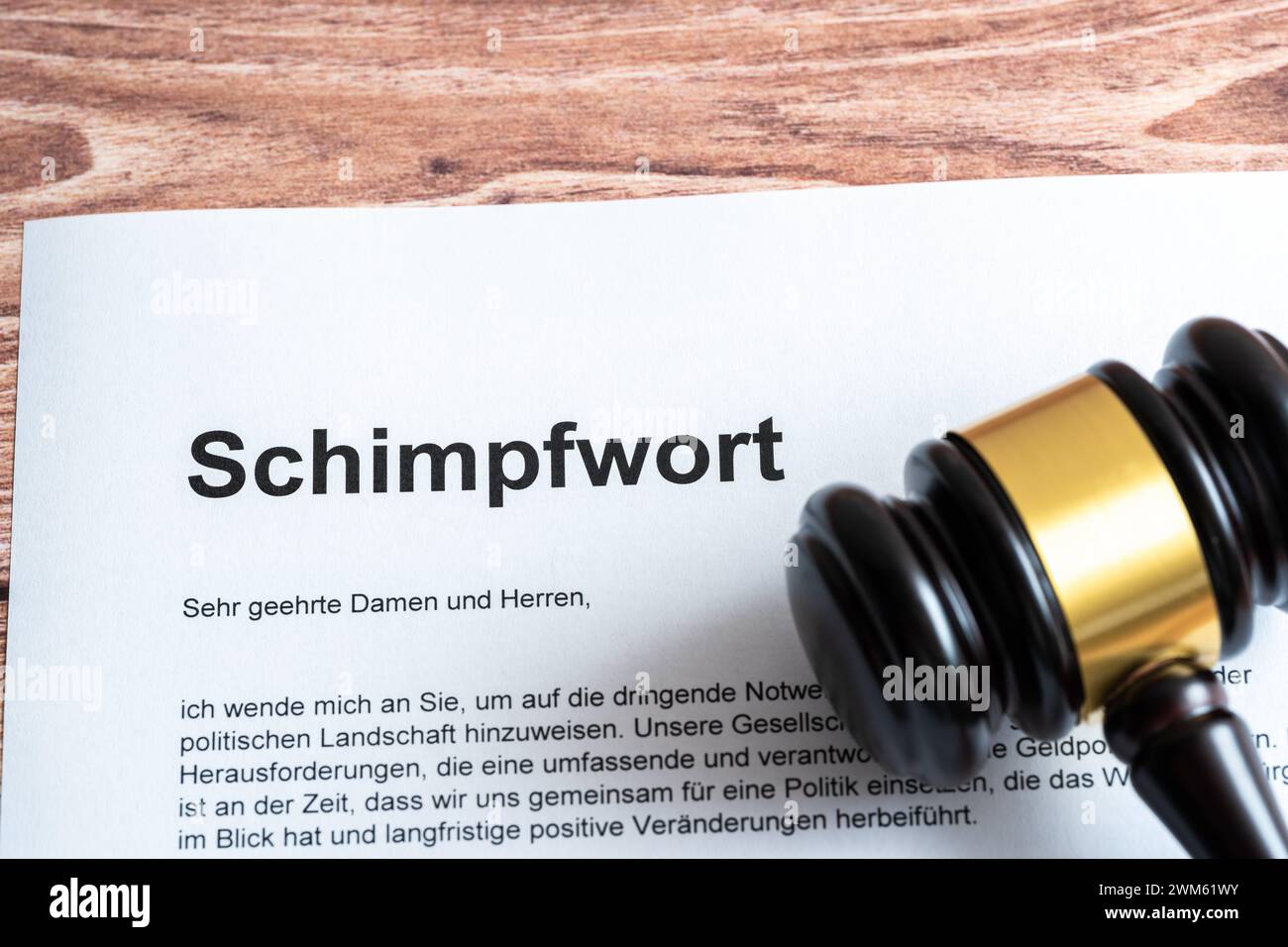 Augsburg, Bavière, Allemagne - 24 février 2024 : exposé, écrit sur un document à côté d'un marteau de juge. Responsabilité pénale des mots de serment concept *** Schimpfwort, Schriftzug auf einem Dokument neben einem Richterhammer. Strafbarkeit von Schimpfwörtern Konzept Banque D'Images