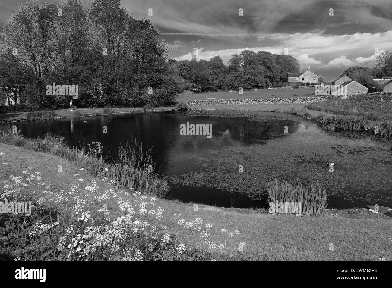 Vue d'été plus de Monyash étang du village, parc national de Peak District, Derbyshire, Angleterre, RU Banque D'Images