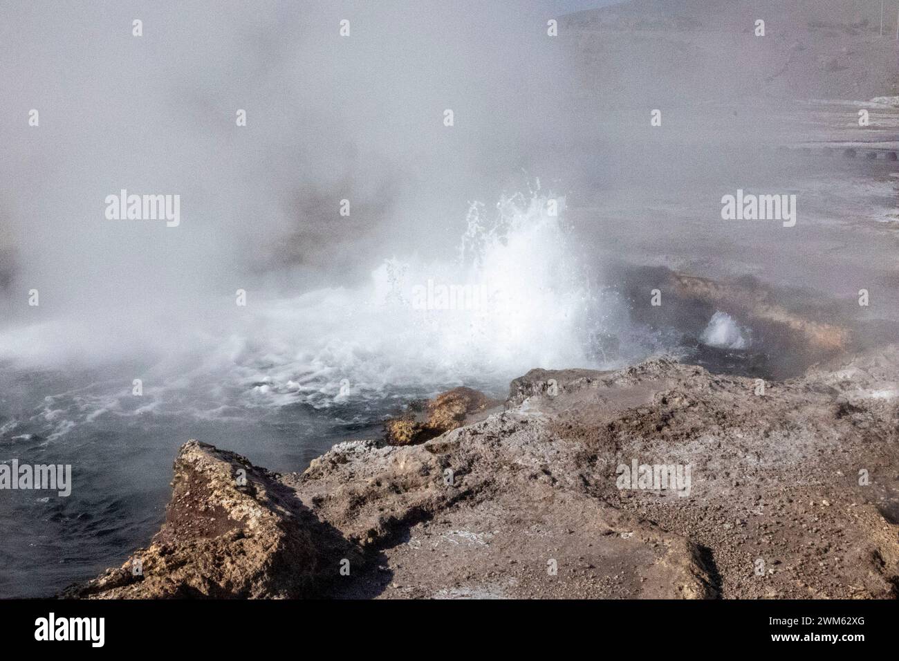 Tatio Geysers, San Pedro de Atacama, Chili. Sources chaudes volcaniques qui produisent de façon spectaculaire l'eau chaude et les fontaines de vapeur à partir du sol. Banque D'Images