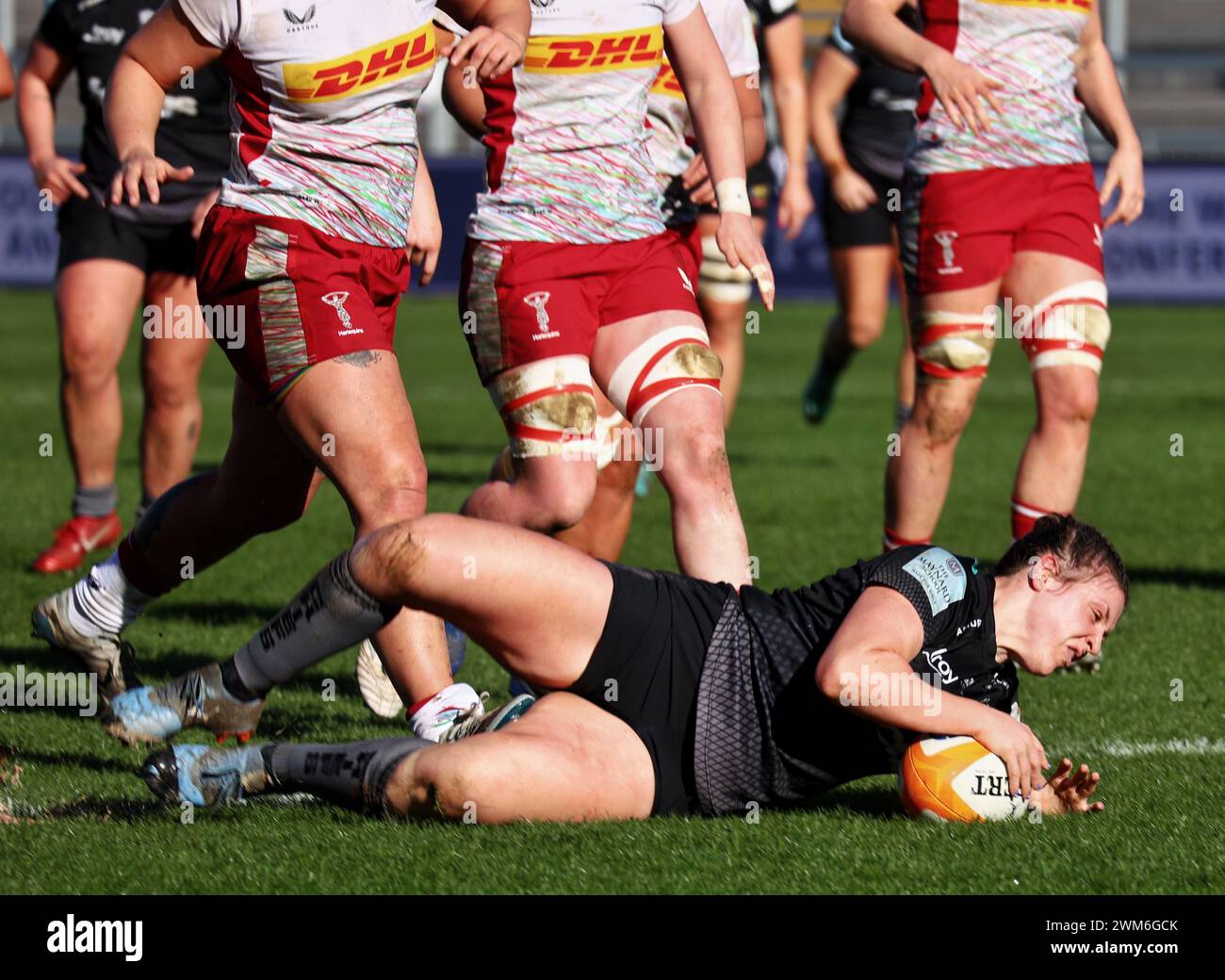 Exeter, Devon, Royaume-Uni. 24 février 2024. Allianz Premiership Women's Rugby : Exeter Chiefs v Harlequins at Sandy Park, Exeter, Devon, Royaume-Uni. Photo : DaLeaka Menin marque Chiefs au premier essai. Crédit : Nidpor/Alamy Live News Banque D'Images