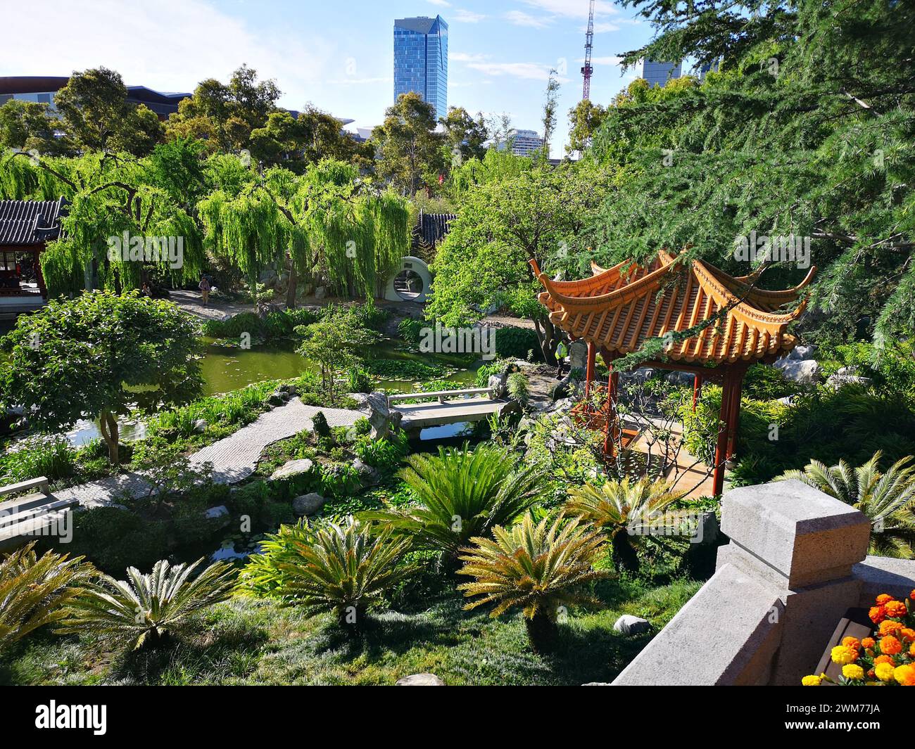 Le paysage du jardin botanique avec divers arbres et fleurs, vu du rez-de-chaussée : Sydney, jardin chinois de l'amitié Banque D'Images