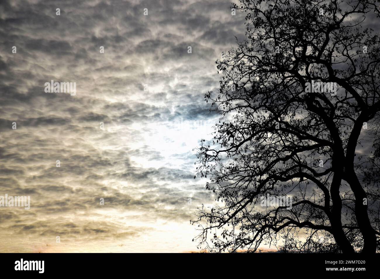 Coucher du soleil naturel le lever du soleil sur le champ ou pré. Ciel dramatique lumineux et sombre au sol. Paysage de campagne pittoresque sous ciel coloré au coucher du soleil Aube Sunri Banque D'Images