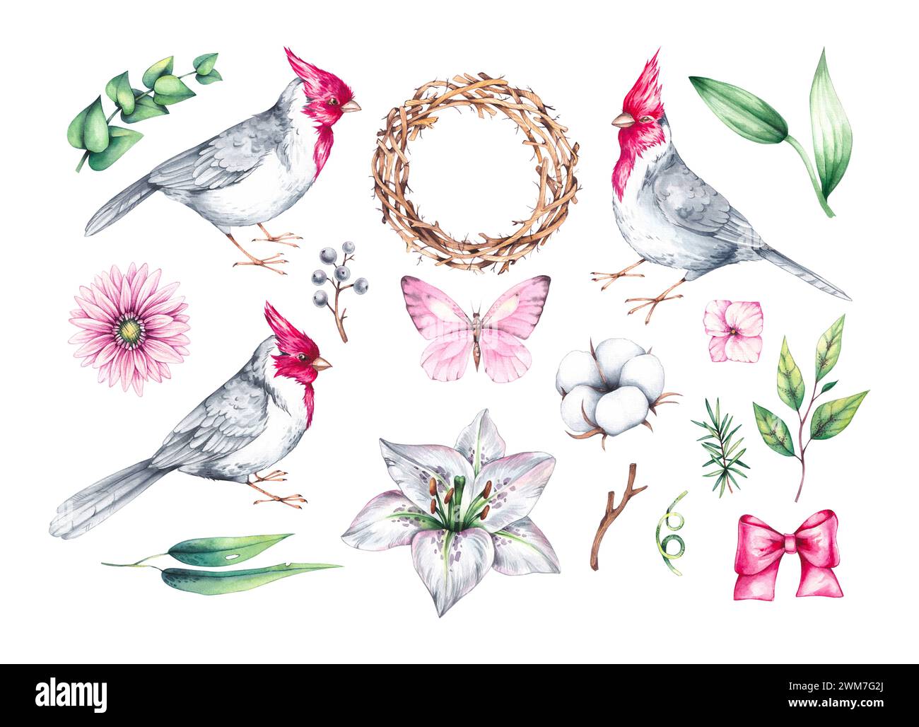 Ensemble d'aquarelle d'oiseaux avec des fleurs. Oiseau cardinal rouge, bouquets et couronnes sur blanc. Oiseaux et fleurs dessinés à la main isolés. Compositions avec des oiseaux Banque D'Images