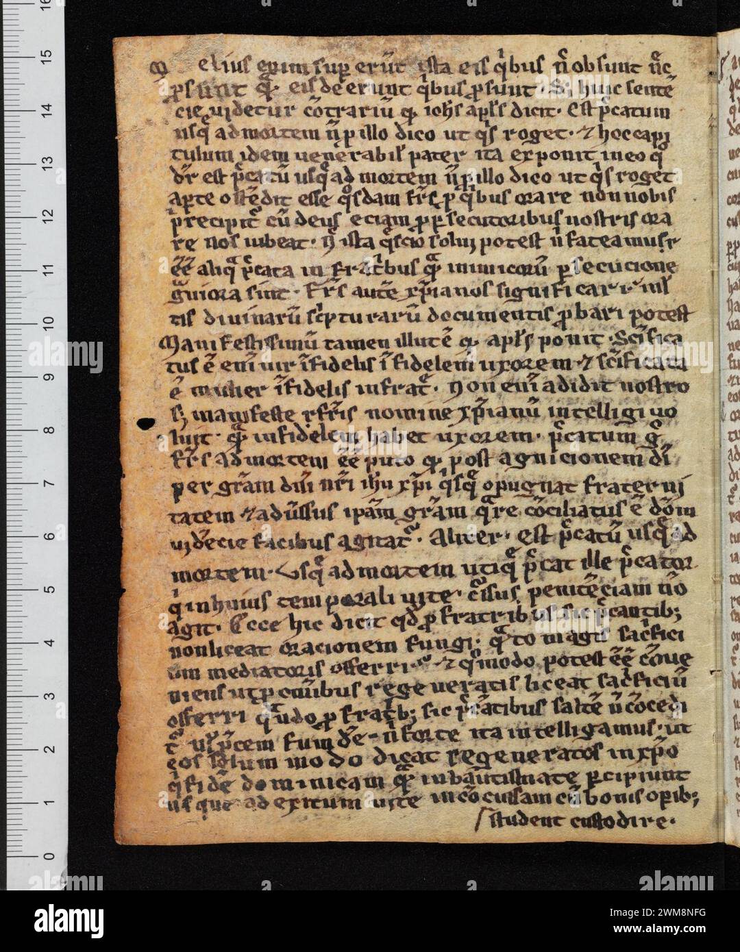 COD. A 95.3, F. 1v – Tractatus de peccatis, poème pieux (fragment). Banque D'Images
