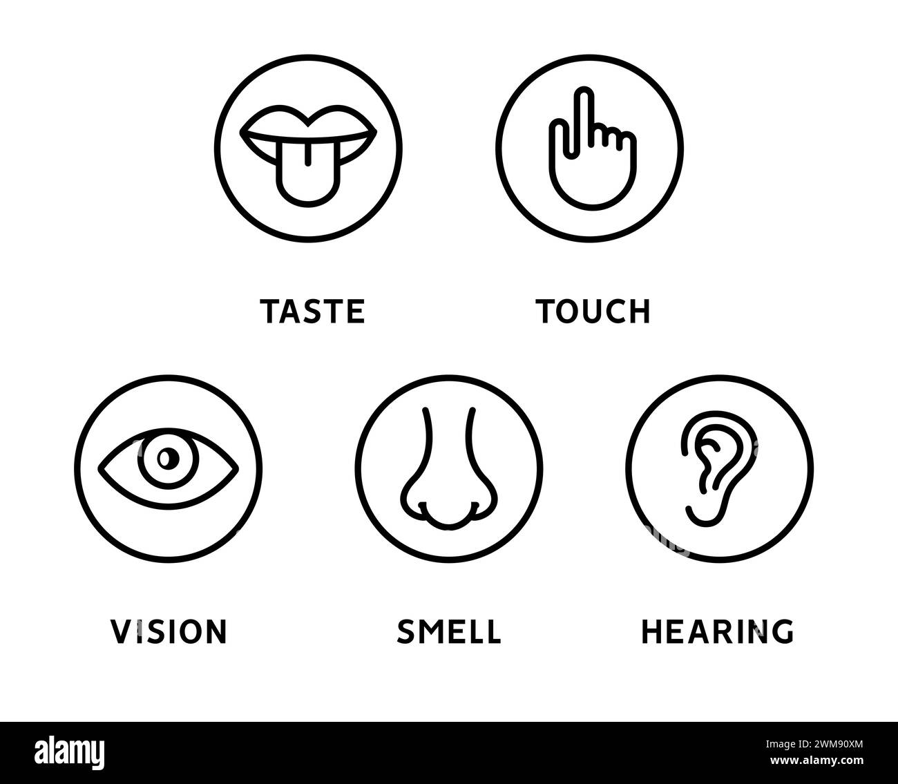 Cinq sens humains vision oeil, odorat nez, oreille d'audition, main de toucher, bouche de goût et langue. Jeu d'icônes de vecteur de ligne Illustration de Vecteur