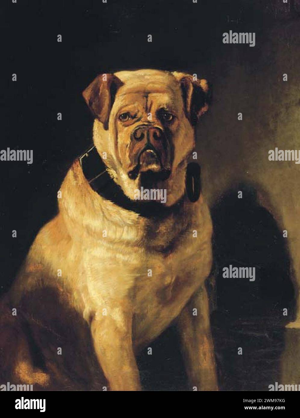 Bernard te Gempt - Un mastiff 1857. Banque D'Images