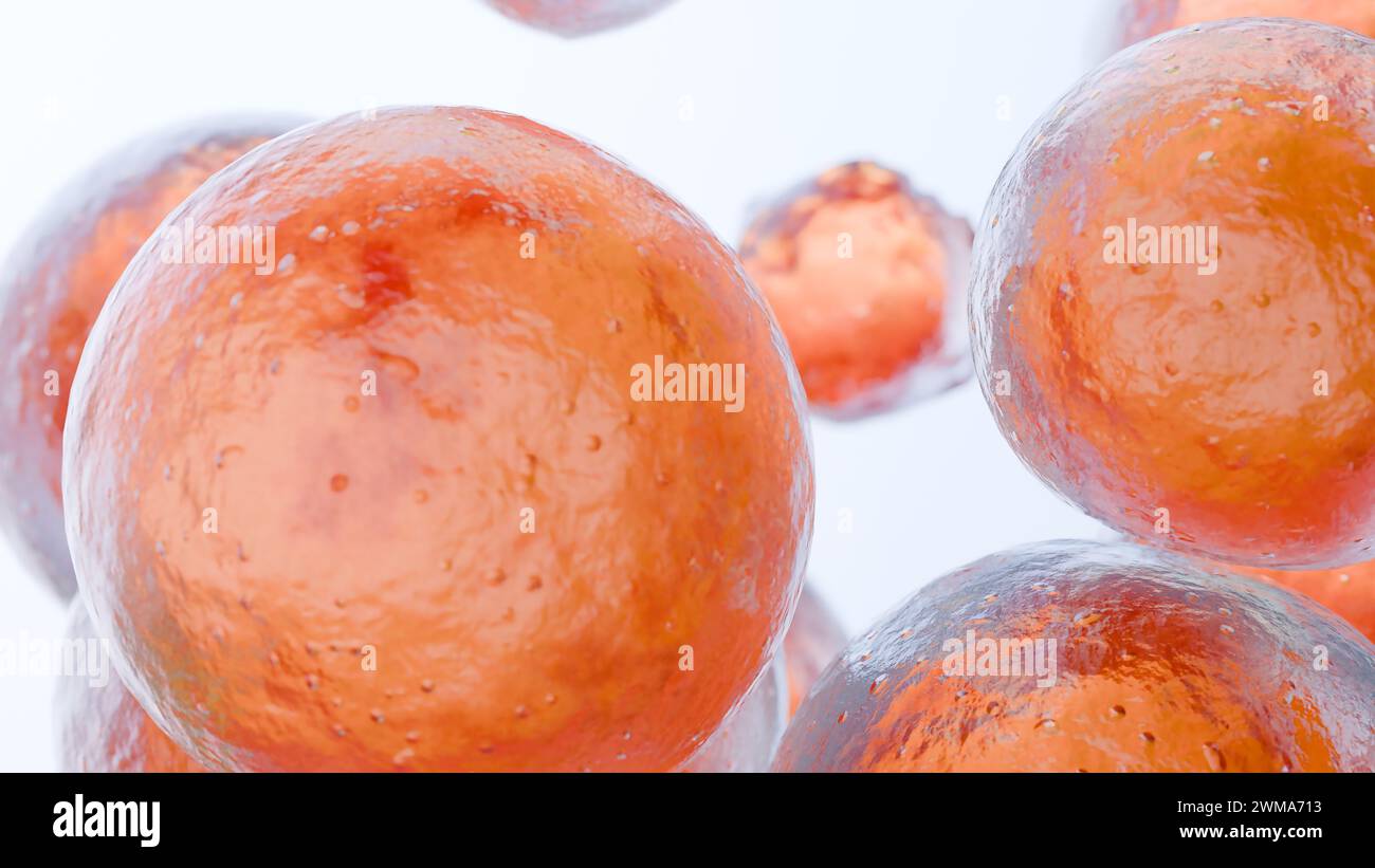 Cellules graisseuses, adipocyte et lipocyte, cholestérol dans les cellules a, rendu 3D. Banque D'Images