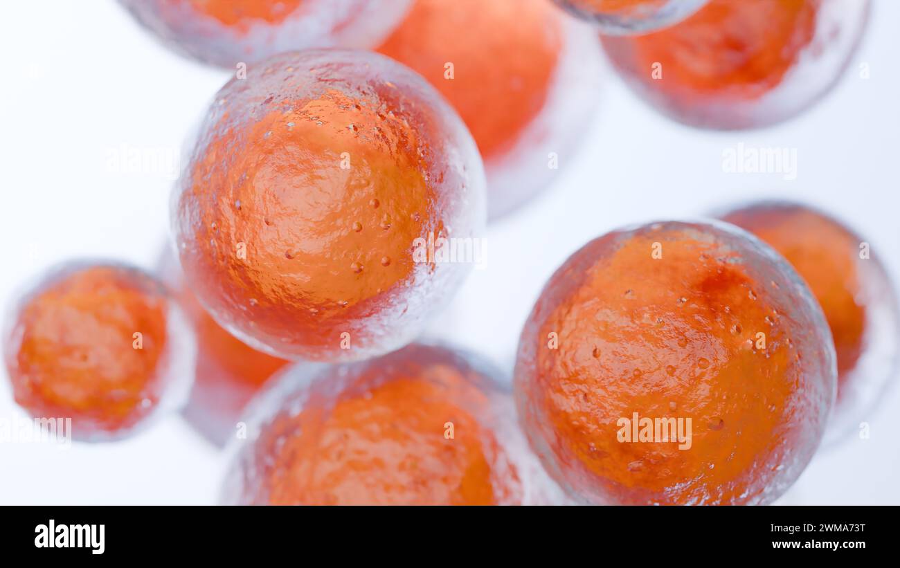 Cellules graisseuses, adipocyte et lipocyte, cholestérol dans les cellules a, rendu 3D. Banque D'Images