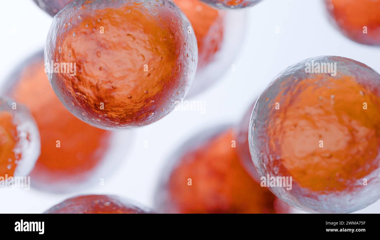 Cellules graisseuses, adipocyte et lipocyte, cholestérol dans les cellules a, rendu 3D. Banque D'Images
