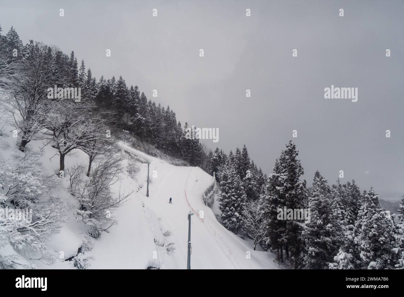 Montagne enneigée pour le ski à Niigata, Japon Banque D'Images