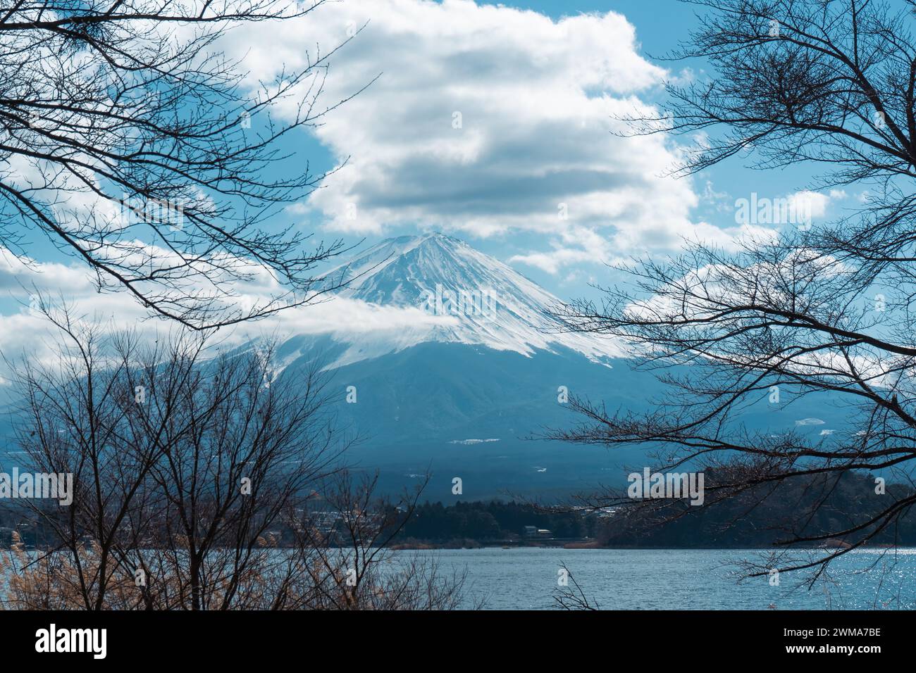 Mont Fuji avec des branches d'arbres en hiver Banque D'Images