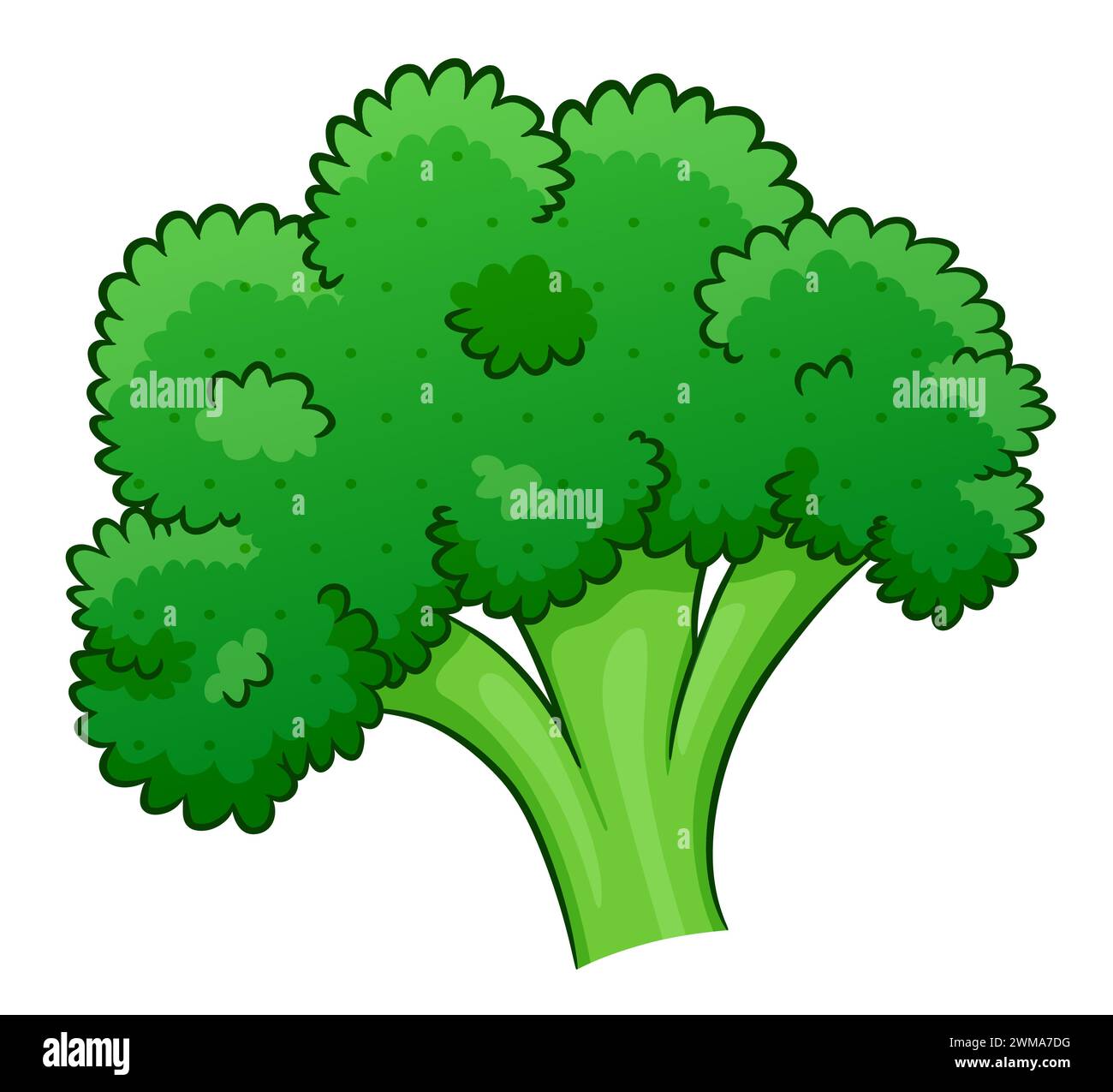 Illustration de dessin animé de brocoli sur fond blanc Illustration de Vecteur