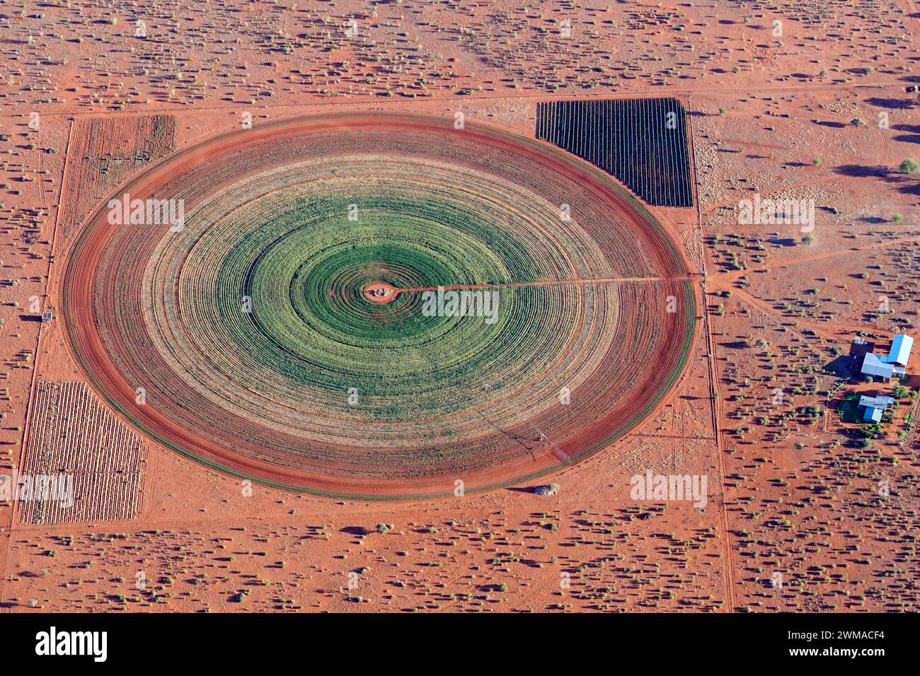 Photo aérienne, champ circulaire dans le désert du Kalahari, agriculture, irrigation, eaux souterraines, luzerne, champ, circulaire, fourrage, fourrage, Namibie Banque D'Images