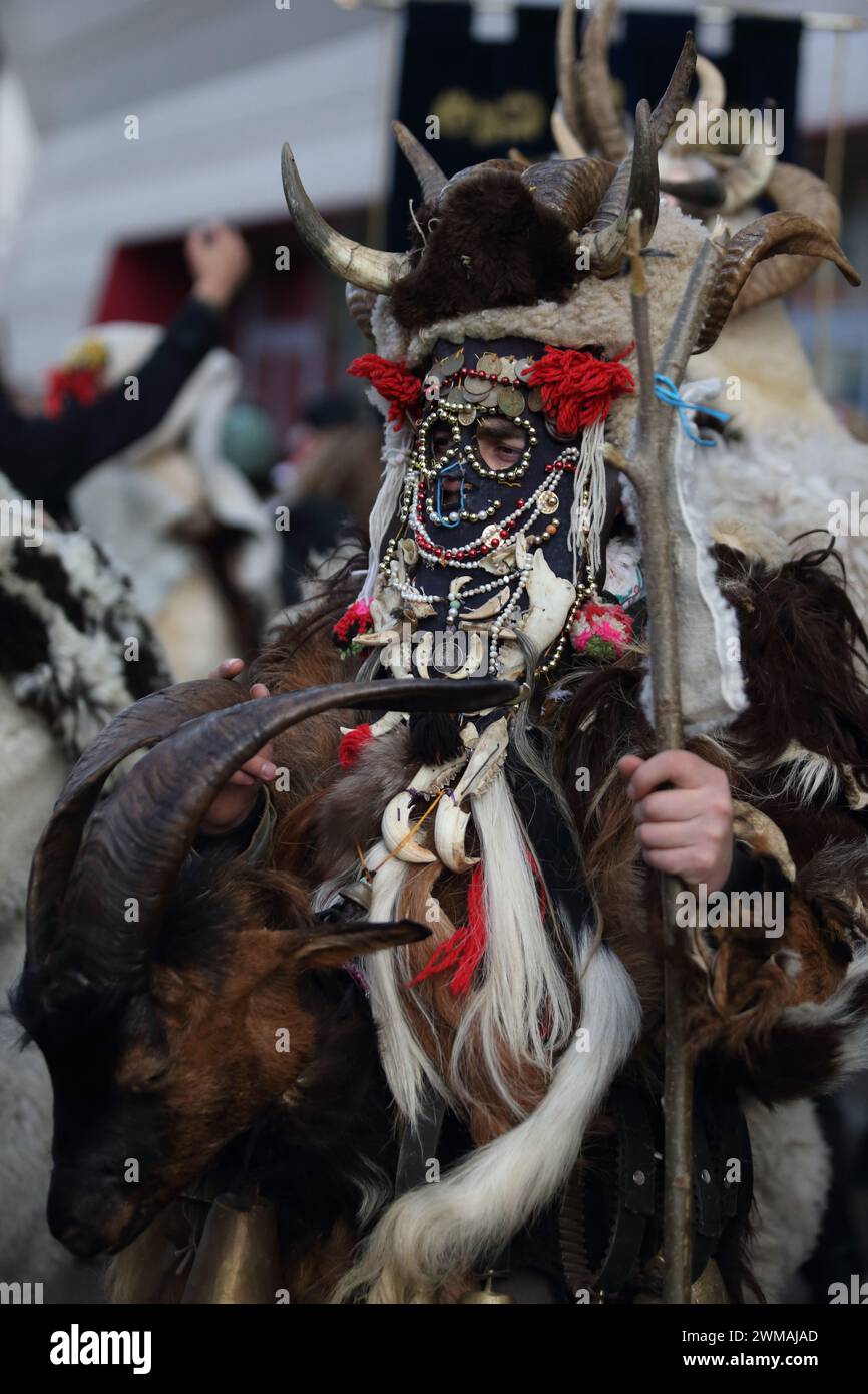 Isernia, Italie. 24 février 2024 - deuxième édition du carnaval européen des masques zoomorphes - Banque D'Images