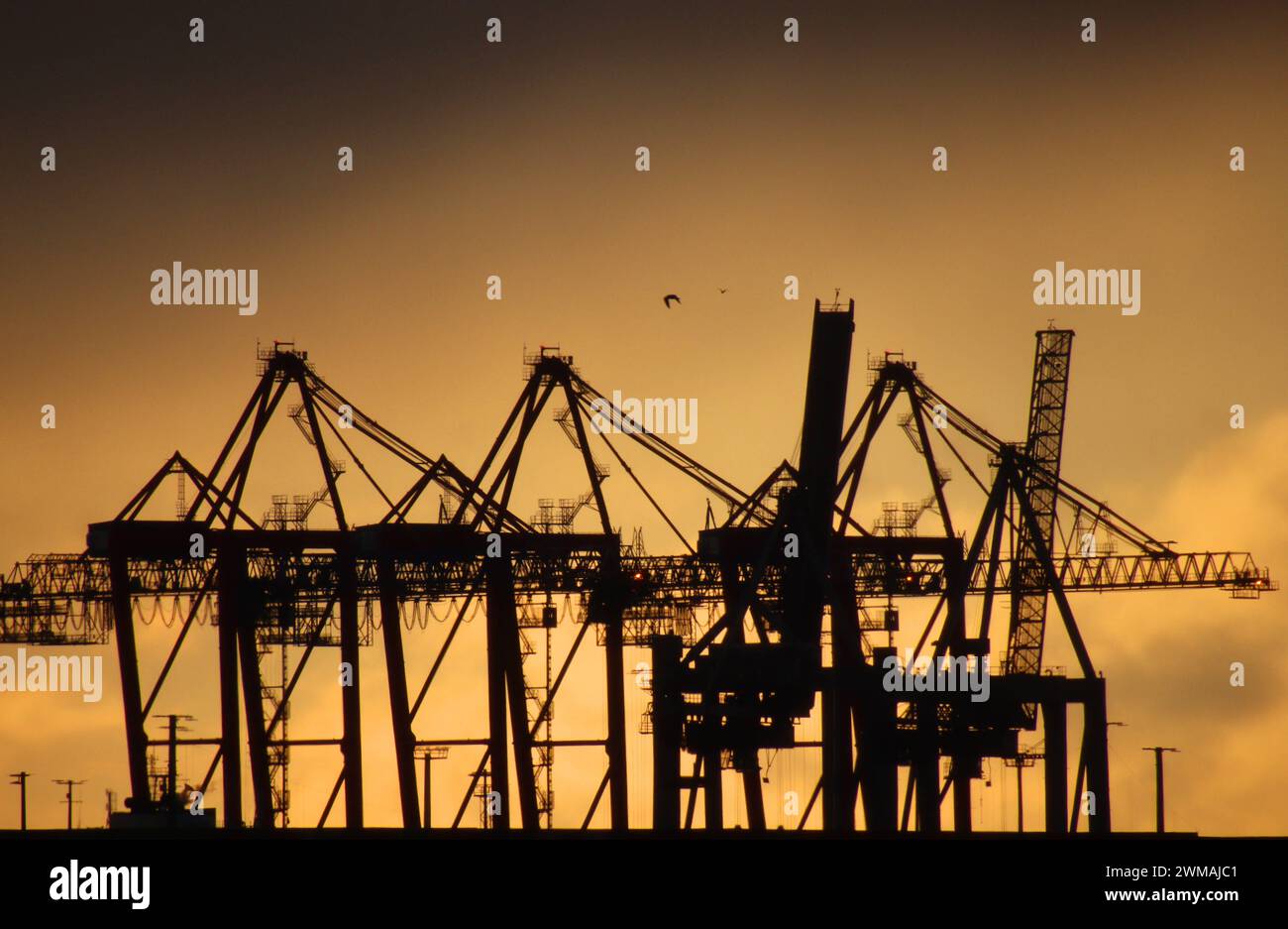 Hafenanlagen im Hamburger Hafen im Sonnenuntergang. *** Installations portuaires dans le port de Hambourg au coucher du soleil Banque D'Images