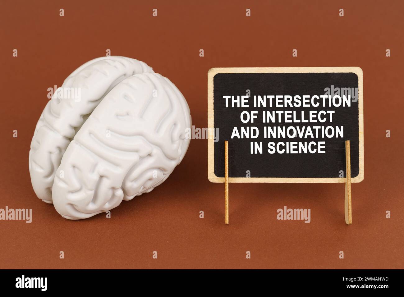 Sur un fond brun, un modèle du cerveau et un signe avec l'inscription - l'intersection de l'intellect et de l'innovation dans la science. Science et tec Banque D'Images