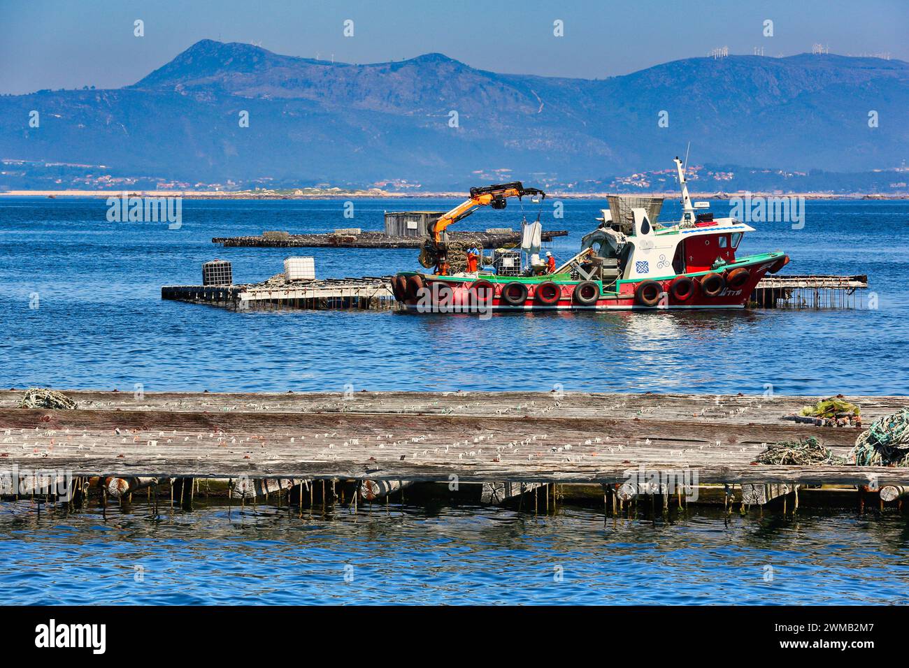 Culture de moules, plate-forme semi-submergée (Batea), culture marine, O'Grove, Ria de Arousa, province de Pontevedra, Galice, Espagne Banque D'Images