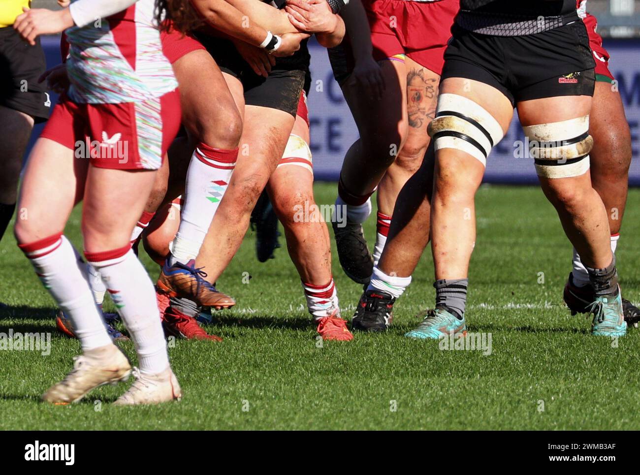 Exeter, Devon, Royaume-Uni. 24 février 2024. Allianz Premiership Women's Rugby : Exeter Chiefs v Harlequins Women at Sandy Park, Exeter, Devon, Royaume-Uni. Photo : Rugby Players Legs Credit : Nidpor/Alamy Live News Banque D'Images