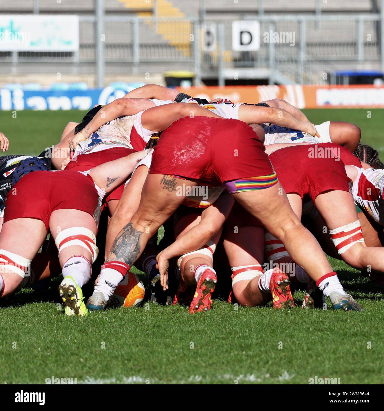 Exeter, Devon, Royaume-Uni. 24 février 2024. Allianz Premiership Women's Rugby : Exeter Chiefs v Harlequins Women at Sandy Park, Exeter, Devon, Royaume-Uni. Photo : Quins Scrum crédit : Nidpor/Alamy Live News Banque D'Images