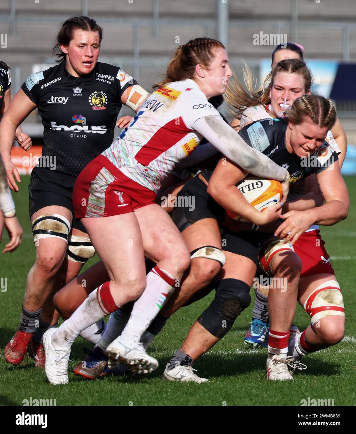 Exeter, Devon, Royaume-Uni. 24 février 2024. Allianz Premiership Women's Rugby : Exeter Chiefs v Harlequins Women at Sandy Park, Exeter, Devon, Royaume-Uni. Sur la photo : Rachel Johnson s'est attaquée à sa 50e apparition pour Chiefs Women Credit : Nidpor/Alamy Live News Banque D'Images