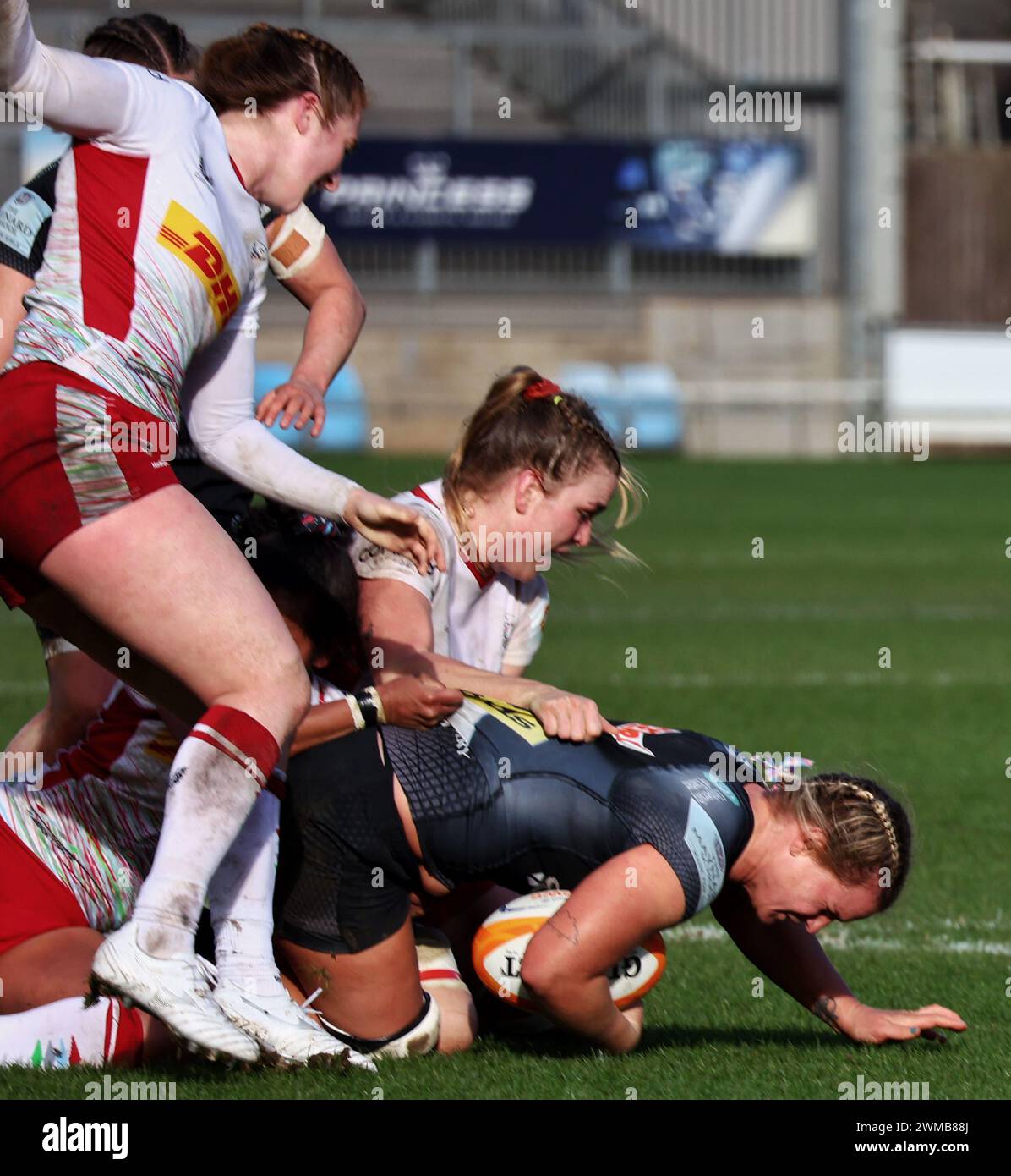 Exeter, Devon, Royaume-Uni. 24 février 2024. Allianz Premiership Women's Rugby : Exeter Chiefs v Harlequins Women at Sandy Park, Exeter, Devon, Royaume-Uni. Sur la photo : Rachel Johnson s'est attaquée à sa 50e apparition pour Chiefs Women Credit : Nidpor/Alamy Live News Banque D'Images