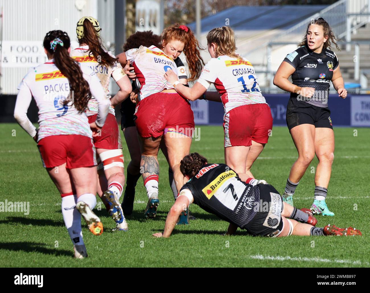 Exeter, Devon, Royaume-Uni. 24 février 2024. Allianz Premiership Women's Rugby : Exeter Chiefs v Harlequins Women at Sandy Park, Exeter, Devon, Royaume-Uni. Photo : Quins sur le crédit de charge : Nidpor / Alamy Live News Banque D'Images