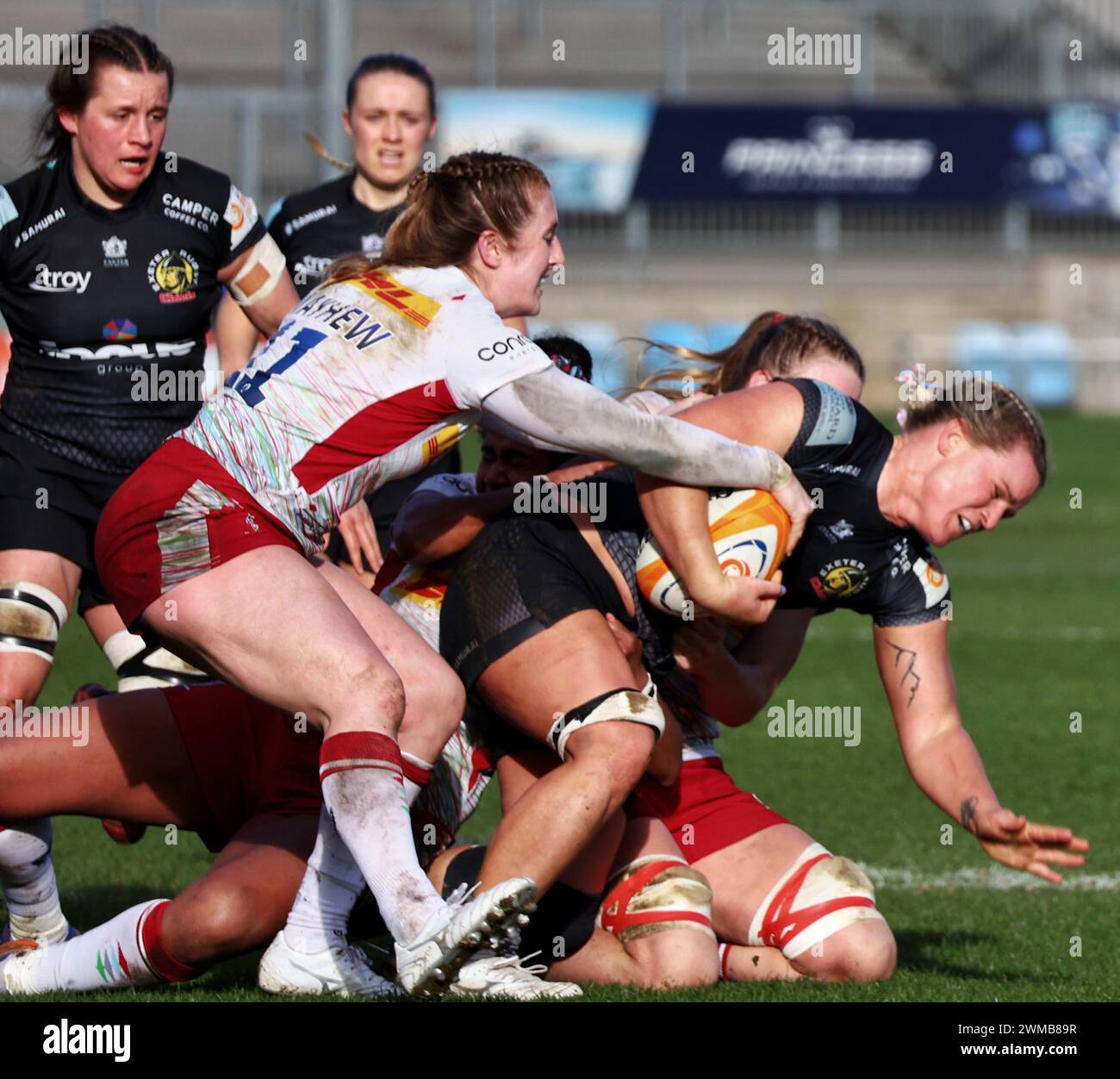 Exeter, Devon, Royaume-Uni. 24 février 2024. Allianz Premiership Women's Rugby : Exeter Chiefs v Harlequins Women at Sandy Park, Exeter, Devon, Royaume-Uni. Sur la photo : Rachel Johnson s'est attaquée à sa 50e apparition pour Chiefs Women Credit : Nidpor/Alamy Live News Banque D'Images