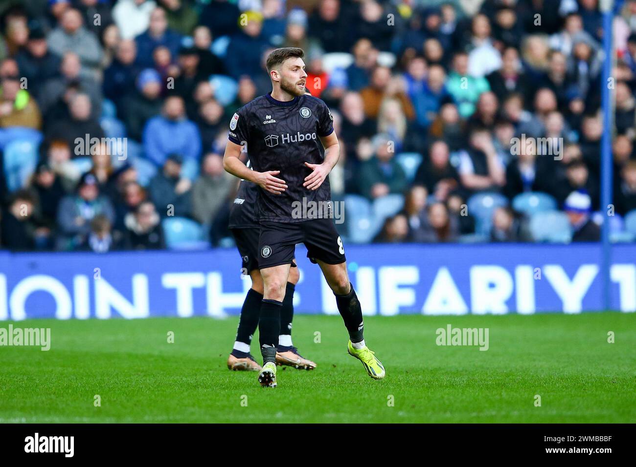 Hillsborough Stadium, Sheffield, Angleterre - 24 février 2024 Joe Williams (8) de Bristol City - pendant le match Sheffield Wednesday v Bristol City, EFL Championship, 2023/24, Hillsborough Stadium, Sheffield, Angleterre - 24 février 2024 crédit : Arthur Haigh/WhiteRosePhotos/Alamy Live News Banque D'Images