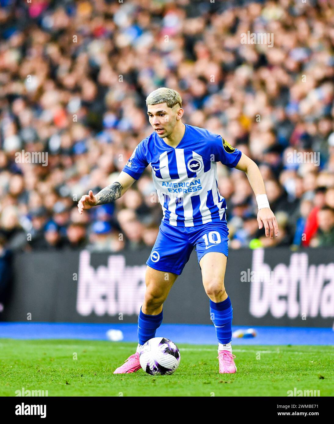 Julio Enciso de Brighton pendant le match de premier League entre Brighton et Hove Albion et Everton au stade American Express , Brighton , Royaume-Uni - 24 février 2024 photo Simon Dack / images téléphoto usage éditorial seulement. Pas de merchandising. Pour Football images, les restrictions FA et premier League s'appliquent inc. aucune utilisation d'Internet/mobile sans licence FAPL - pour plus de détails, contactez Football Dataco Banque D'Images