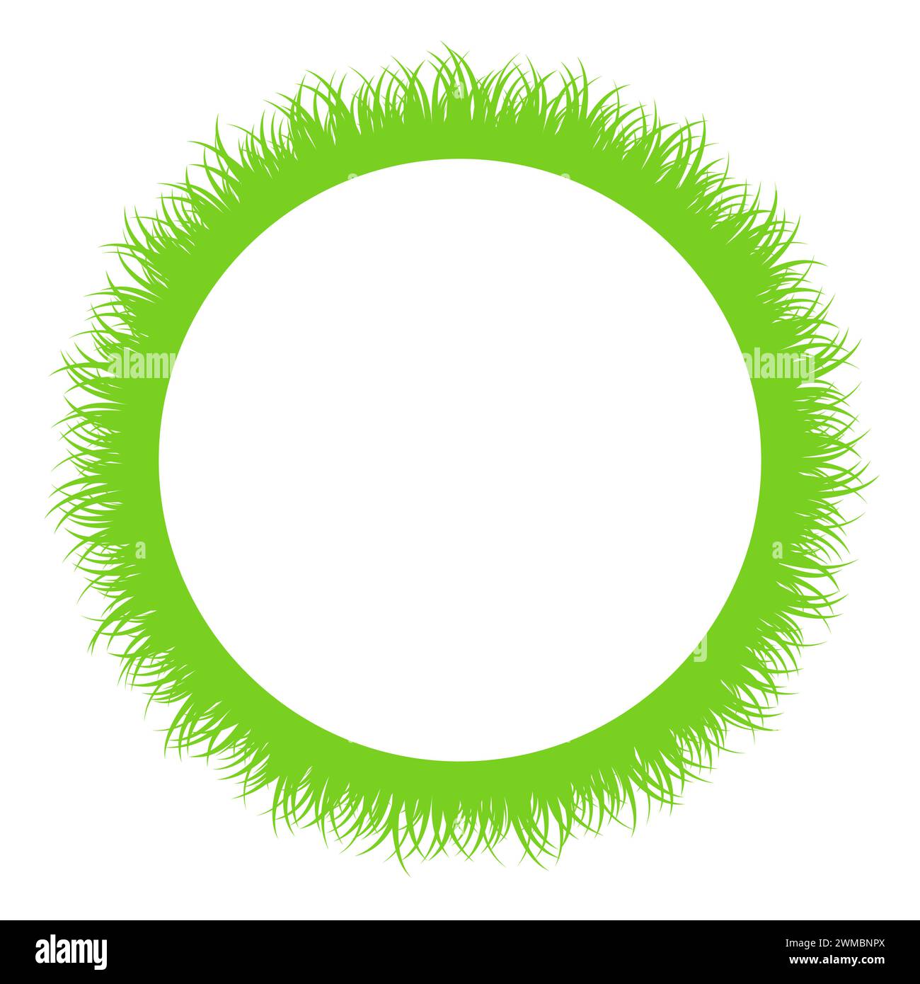 Bande d'herbe verte circulaire autour d'un cercle blanc. Cadre circulaire en lames d'herbe fraîche. Bordure décorative et arrière-plan. Banque D'Images