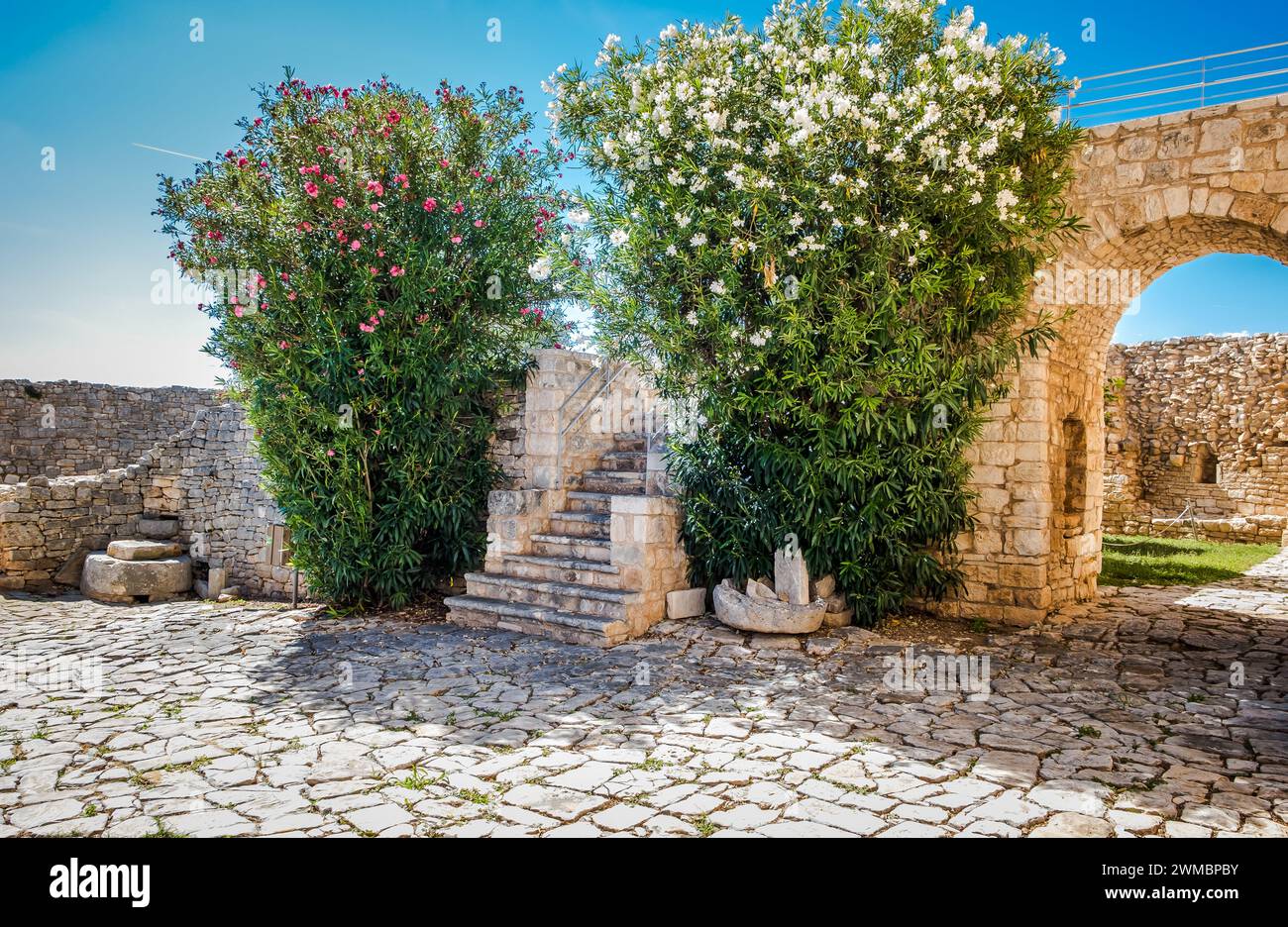 Ferme médiévale de Balsignano dans la zone archéologique de Balsignano (Xe siècle), ville de Modugno, province de Bari, région des Pouilles, sud de l'Italie Banque D'Images
