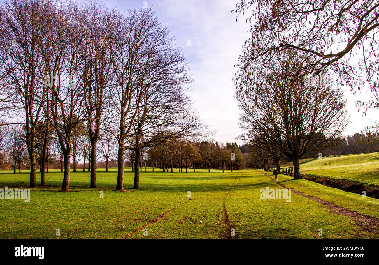 Dundee, Tayside, Écosse, Royaume-Uni. 25 février 2024. Météo Royaume-Uni : ensoleillement matinal ensoleillé en hiver, avec des vues époustouflantes sur les arbres créés par la nature et des promenades dans la nature dans le parc Dundee Caird. Crédit : Dundee Photographics/Alamy Live News Banque D'Images