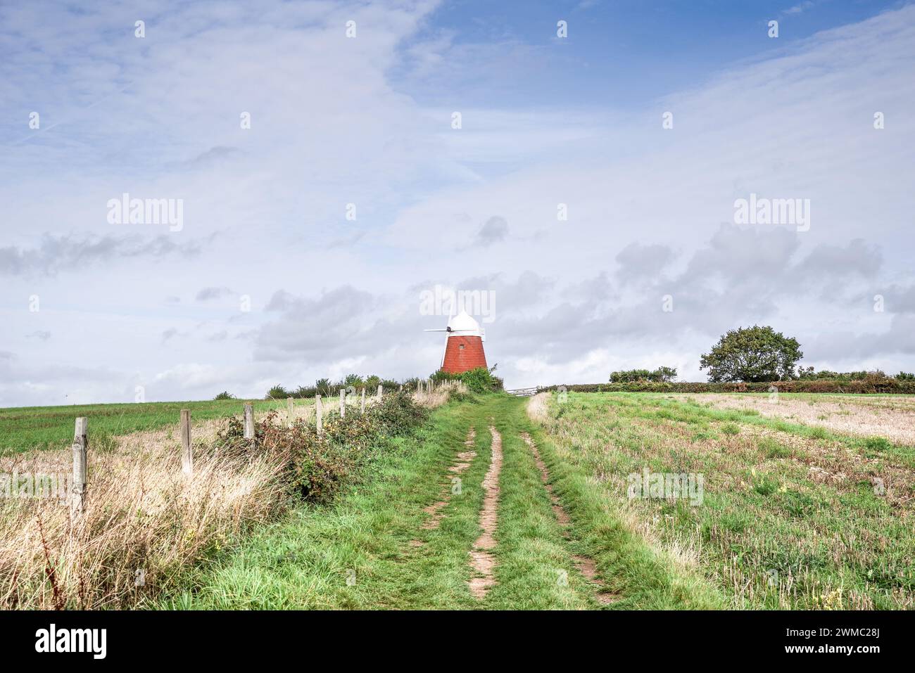 Halnaker Windmill caché dans les champs près de Chichester dans la campagne du Sussex de l'Ouest (Angleterre, Royaume-Uni) Banque D'Images