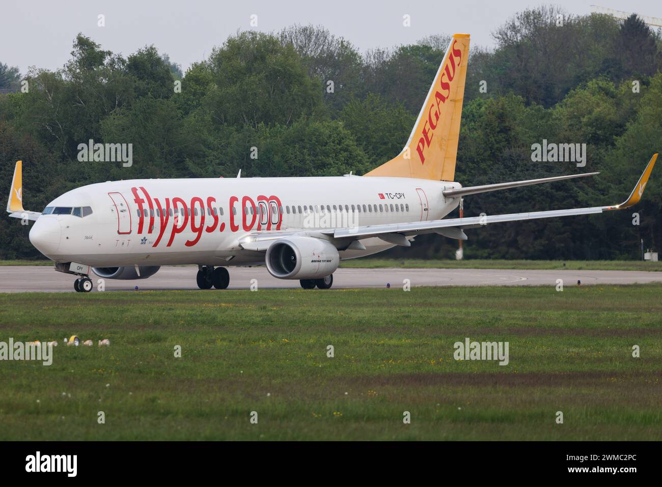 Die Boeing 737-8H6 B738 der Fluglinie Pegasus Airlines PC / PGT mit der Registrierung TC-CPY MSN : 41767 Rollt am Flughafen Hamburg Airport EDDH/HAM. Hamburg Hamburg Deutschland *** le Boeing 737 8H6 B738 de Pegasus Airlines PC PGT immatriculé TC CPY MSN 41767 roule à l'aéroport de Hambourg EDDH HAM Hambourg Allemagne Banque D'Images