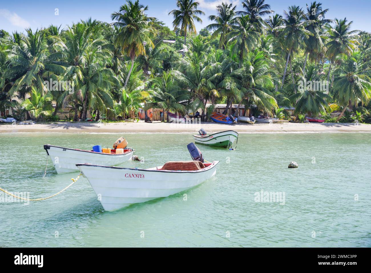 Bateaux de pêche amarrés dans la petite ville de Laborie sur la côte sud-ouest de Sainte-Lucie, Antilles Banque D'Images