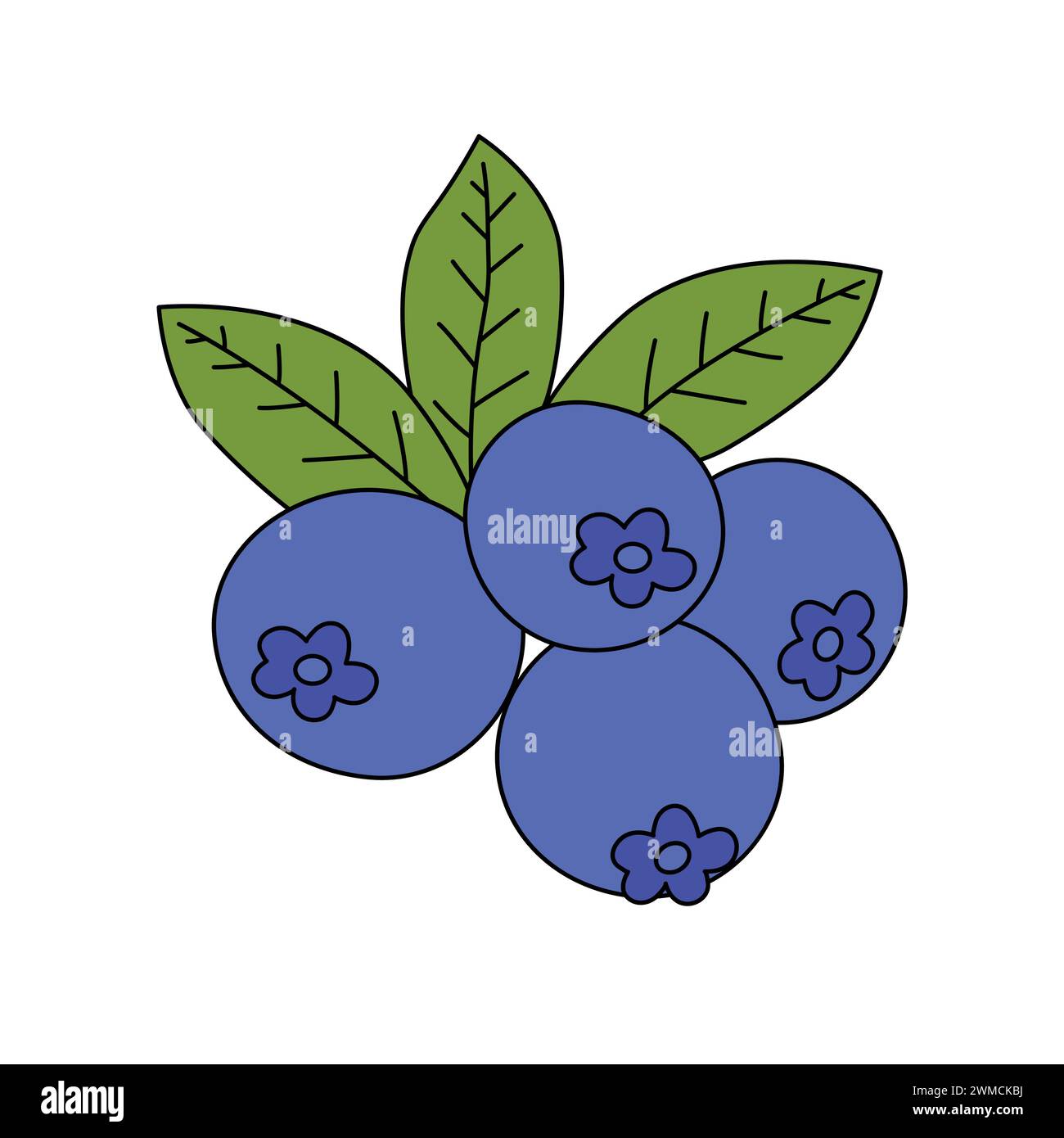 Dessin animé Blueberry fruit coloré. Fruits Coloring pages pour enfants et adultes. Myrtilles avec feuilles illustration vectorielle Illustration de Vecteur